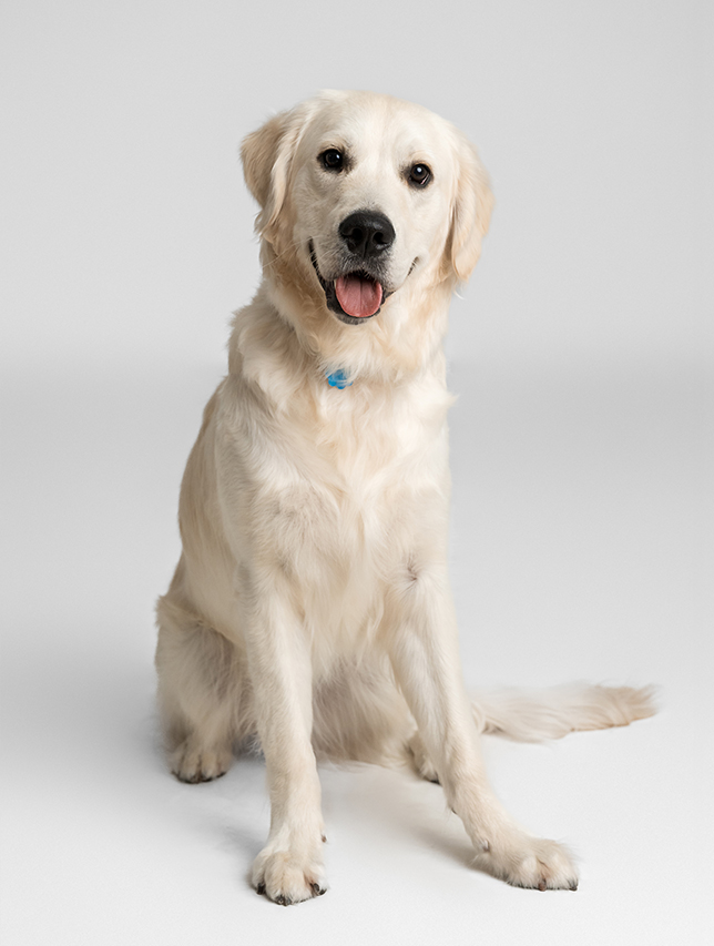 Emergent Architecture Bio Headshot Formal Doug